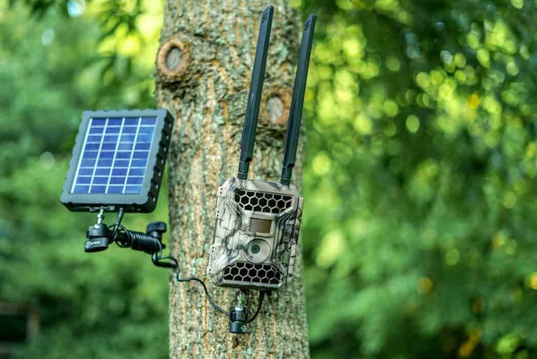 Best Wireless Trail Camera