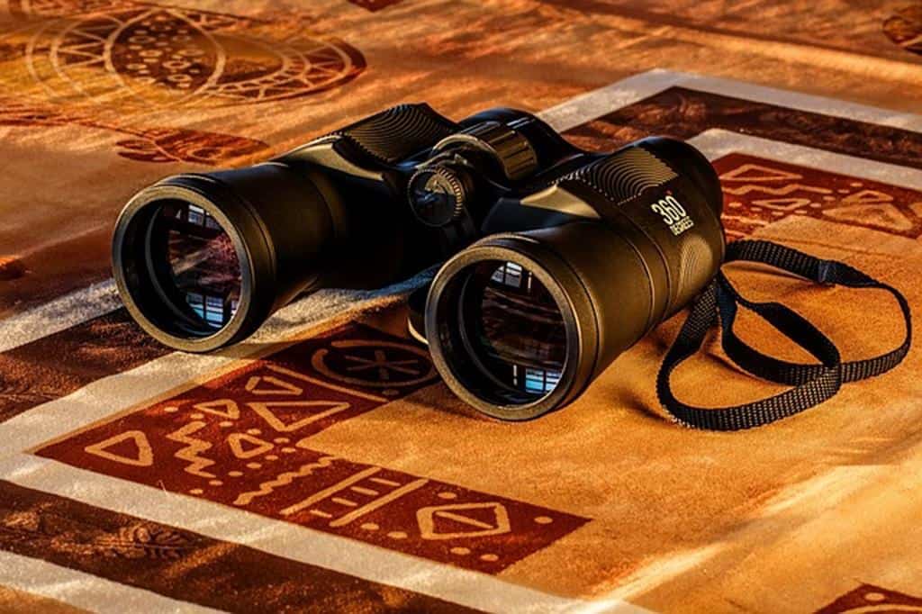 Binoculars For Wildlife