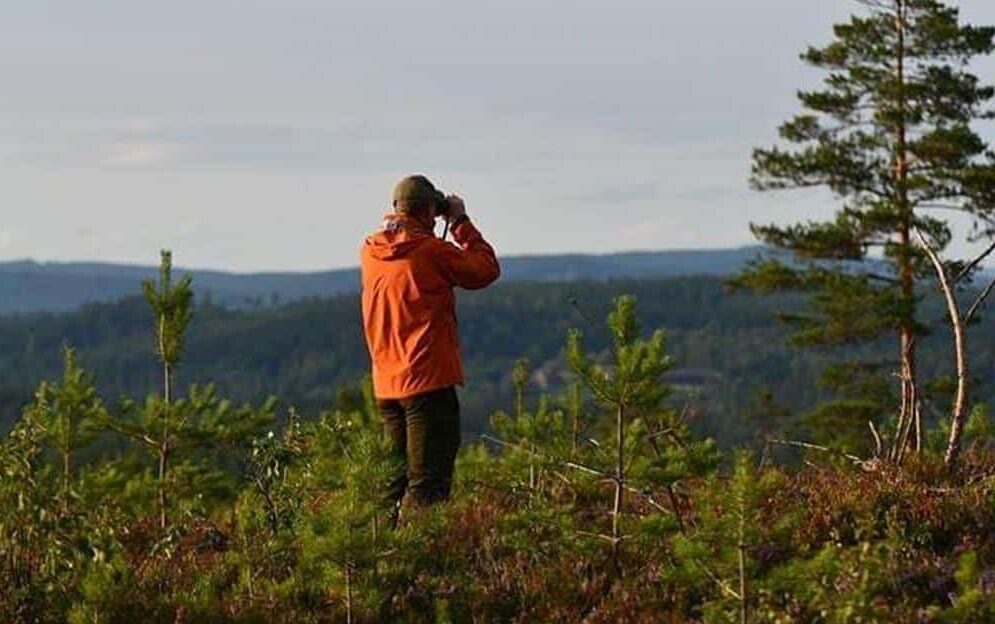 Nikon Prostaff 7 Vs 7S Binoculars