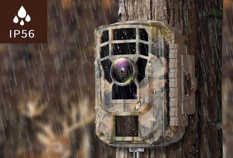 How Do Trail Cameras Works