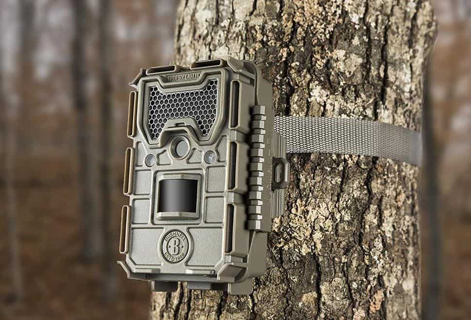 How To Hide Your Trail Camera From Other People