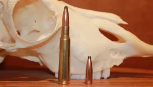 270 Winchester Vs 30-06