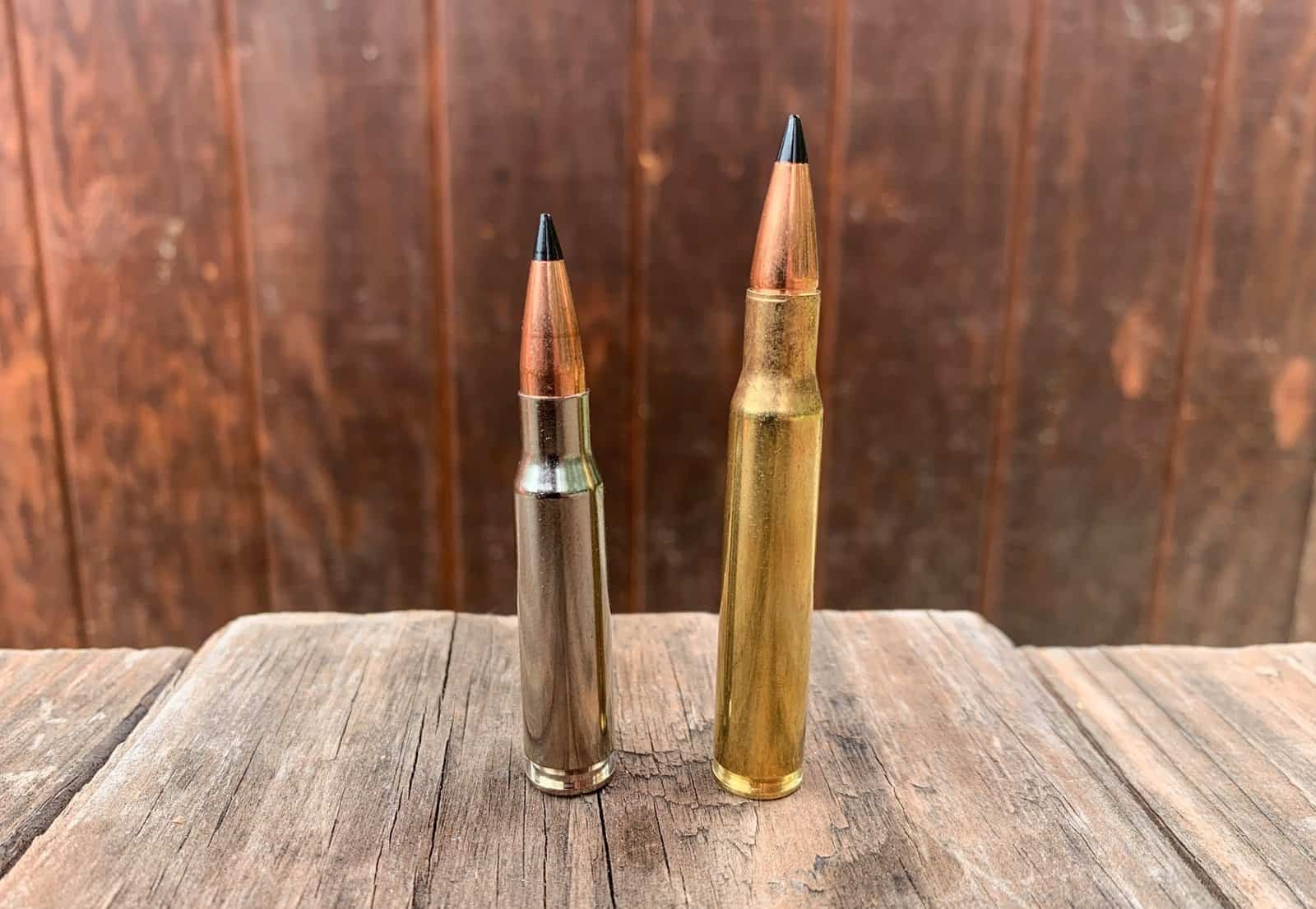 30-06 Size Comparison