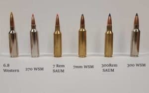 300 Wsm Vs 300 Saum