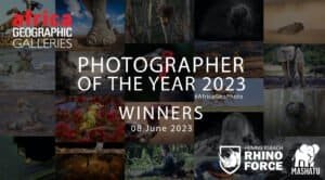 Can Moose Run Across Water