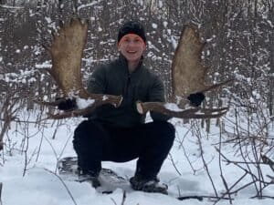 Do Moose Shed Their Antlers