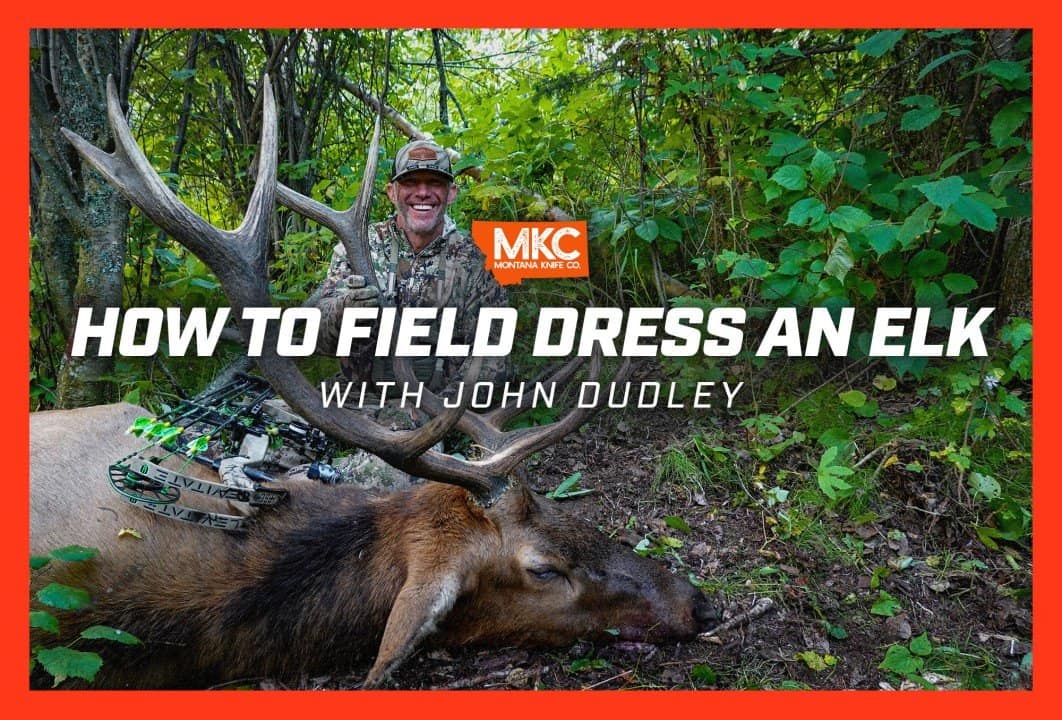 Gutless Elk Field Dressing