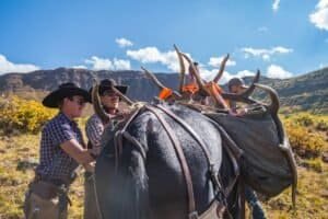 Gutless Method for Elk