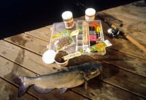 Homemade Deer Attractant Using Kool Aid