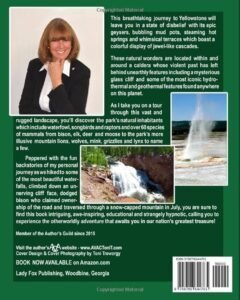 How Far Do Moose Travel