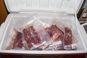 How Long Can Deer Meat Stay On Ice