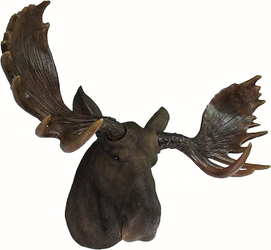 How Much Do Moose Antlers Weigh