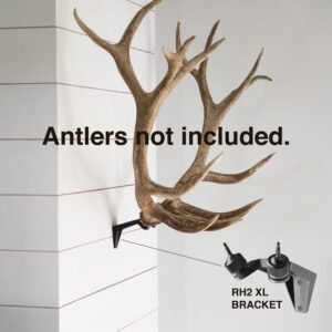 How To Mount Deer Antlers Without Skull