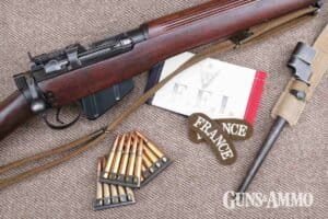 Modern 303 Rifle