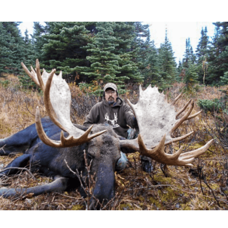 Moose Hunting British Columbia