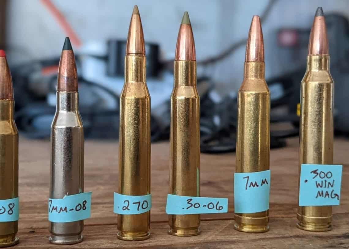 What Can You Hunt With a 30-06