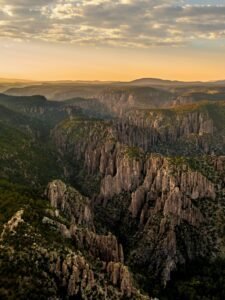 What Does Elk Poop Look Like