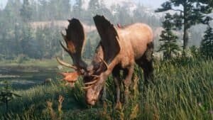 Where Can I Hunt Moose