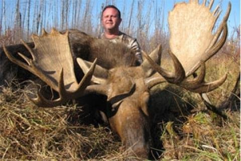 Where Can You Hunt Moose