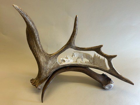 Where Moose are Found