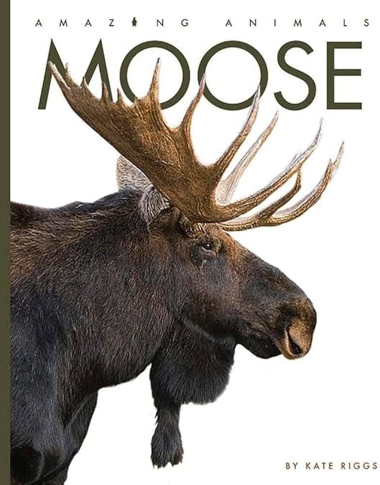 Why Do Moose Have Antlers