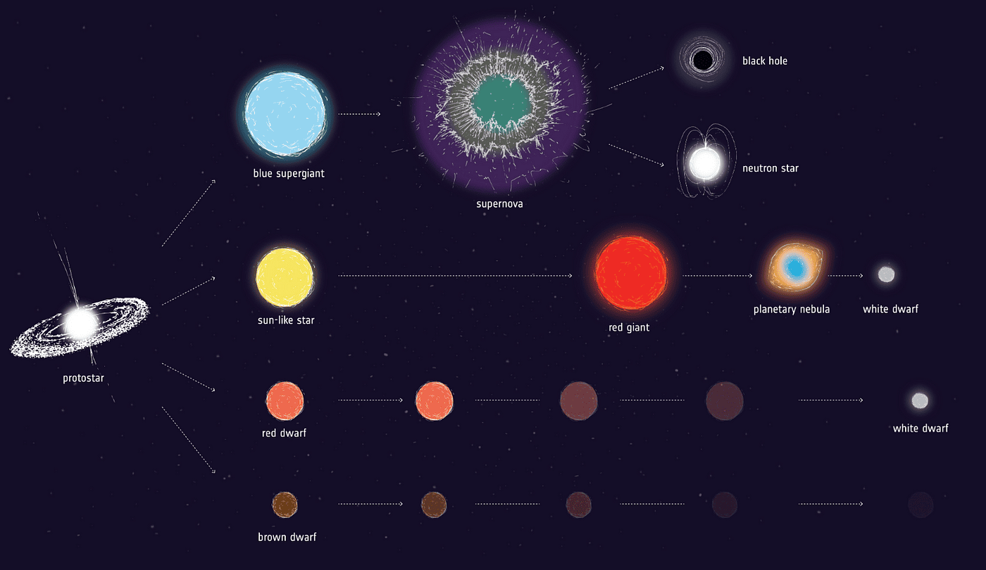 White Dwarf Vs Red Giant