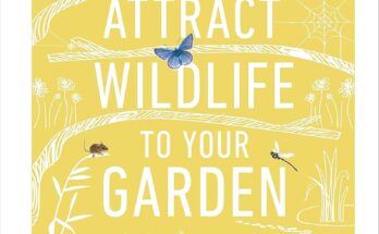 How Can You Attract Wildlife to Your Garden?