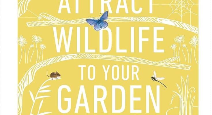 How Can You Attract Wildlife to Your Garden?