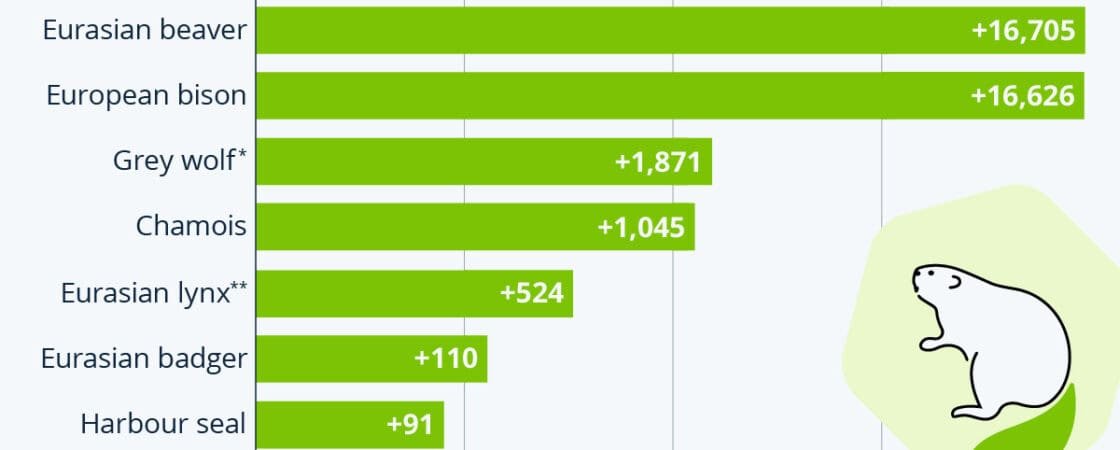 How Do Wildlife Conservation Efforts Work?