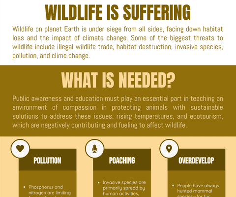 What are the Primary Threats to Wildlife Habitats?