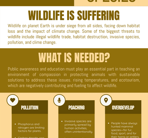 What are the Primary Threats to Wildlife Habitats?