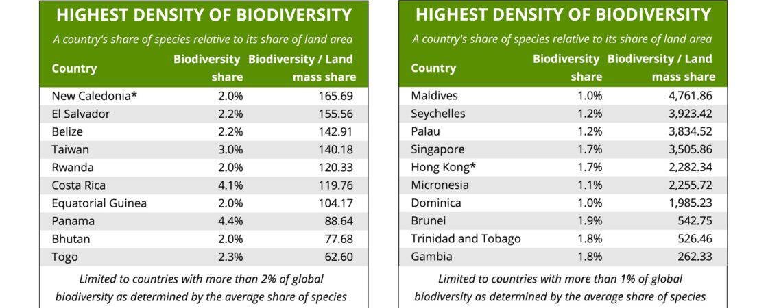 Which Countries Have the Most Diverse Wildlife?