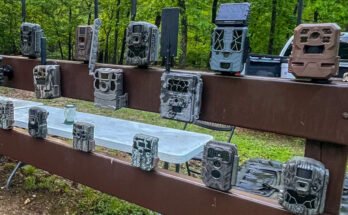 How to Detect a Trail Cam?