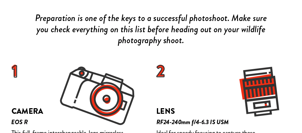 How to Take Pictures of Wildlife?