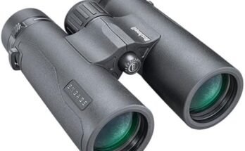 Best Binocular for Bird Watching
