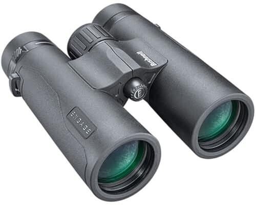 Best Binocular for Bird Watching