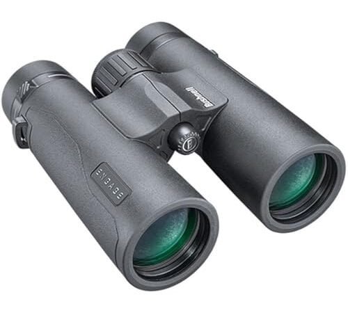 Best Binocular for Bird Watching