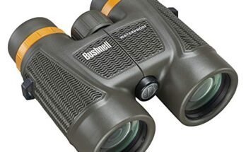 Best Binocular for Boating