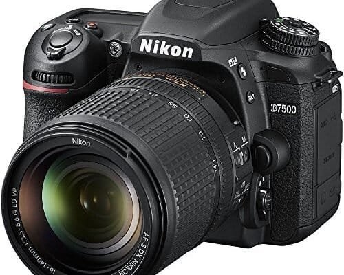 Best Dslr for Professional Photography