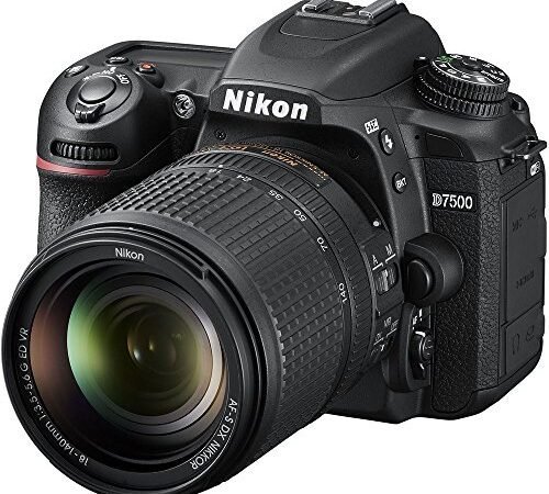 Best Dslr for Professional Photography