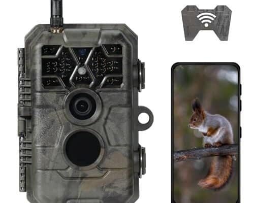 Best Night Vision Trail Camera