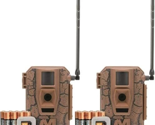 Best Trail Camera for Bird Watching​