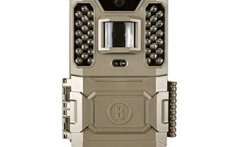 Best Trail Cameras for Hunting