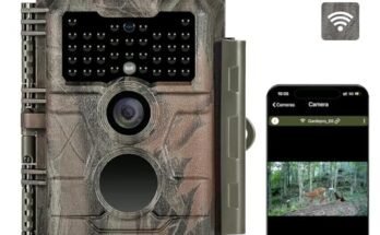 Best Trail Cameras for Moose Hunting
