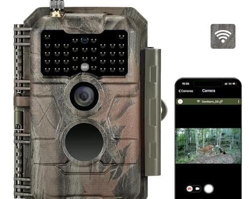 Best Trail Cameras for Moose Hunting