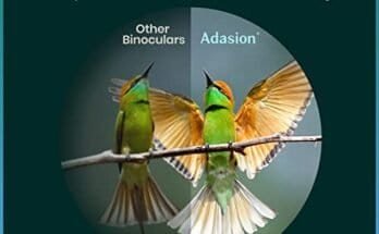 Best Binoculars For Wildlife