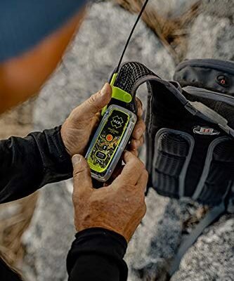 Best Wildlife Locator Beacon