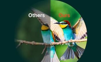 Best Wildlife Bird Watching Binoculars