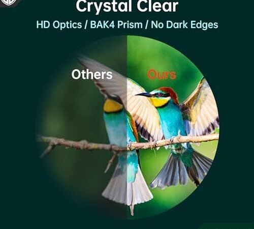 Best Wildlife Bird Watching Binoculars