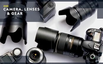 Best Wildlife Lens For Beginners